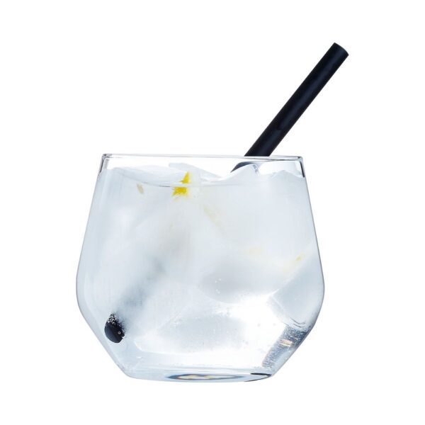 Vinetis Water Glass 360ml - Image 2