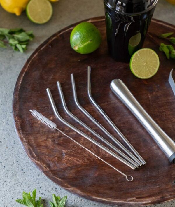 Drinking Straws Set 5 Pcs incl Brush