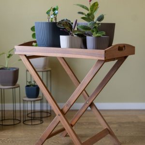 Foldable Tea Tray Table