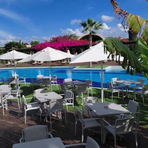 Armchair Nes Ivory White