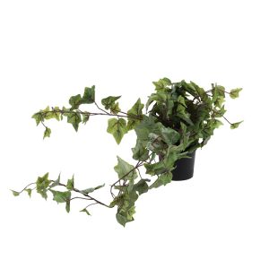 Hanging Plant in Pot 80cm