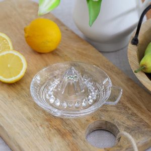 Transparent Fruit Juicer