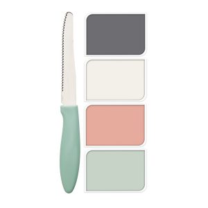 Coloured Knife Set 4 Pcs