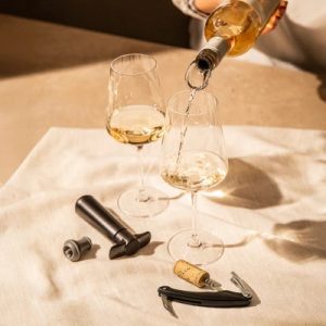 Wine Set Starter Box 4 Pcs