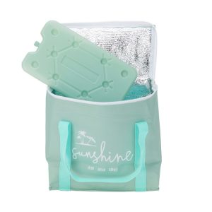 Cooler Bag with Ice Pack 25x15x23cm (3 Colours)